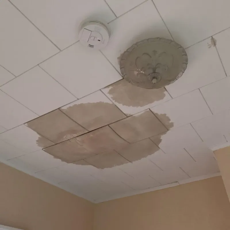 Ceiling Water Damage Repair in Cass County, MN
