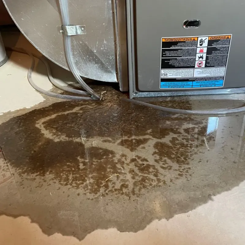 Pipe Burst and Leak Restoration in Cass County, MN